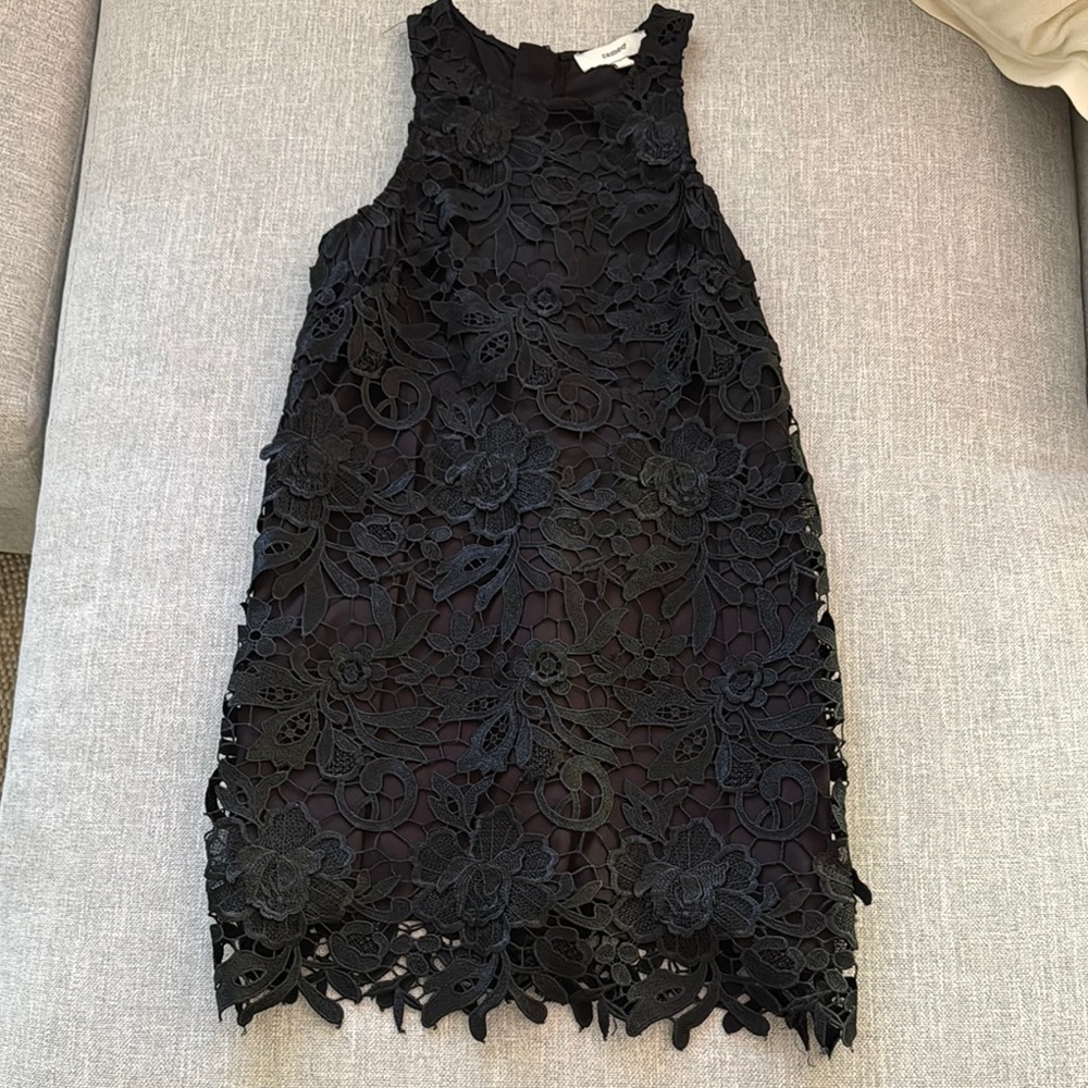Cameo Black Lace Sleeveless Dress